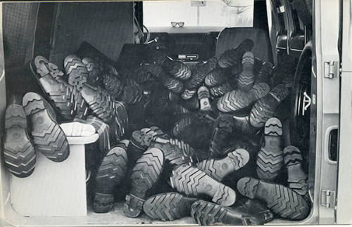 100 Boots On Vacation (Torrey Pines Park, California)