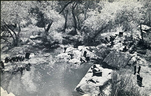 100 Boots At The Pond (Mission Gorge, California)