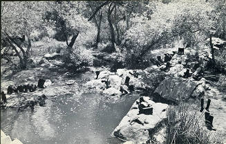 100 Boots At The Pond (Mission Gorge, California)