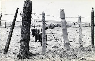 100 Boots At The Corral (Black Mountain, California)