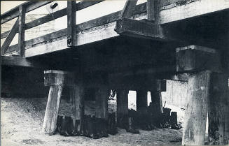 100 Boots Under The Bridge (Sorrento Valley, California)