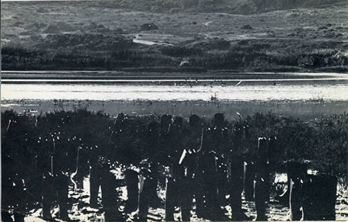 100 Boots In The Marsh (San Elijo Lagoon, California)