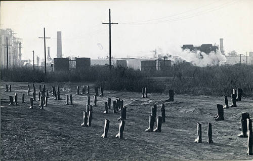 100 Boots Out Of A Job (Terminal Island, California)