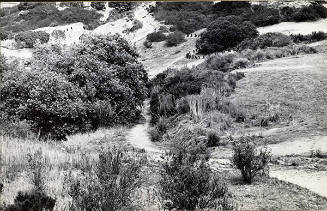 100 Boots Taking The Hill (2) (Lomas Santa Fe, California)