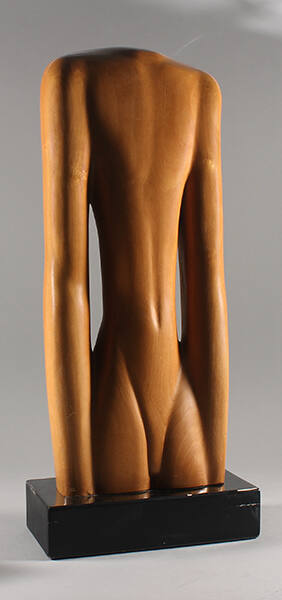 Torso