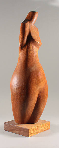 Female Torso
