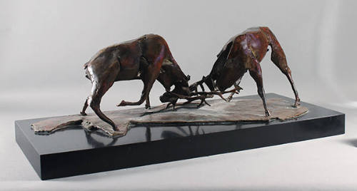 Two Elks Fighting