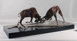 Two Elks Fighting