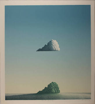 Reflective Landscape