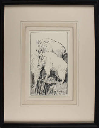 Robert Lougheed, Untitled (Mountain Goats), n.d., charcoal on paper, 9 1/4 × 5 3/4 in. Collecti…