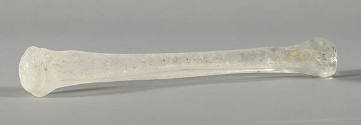 Small bone