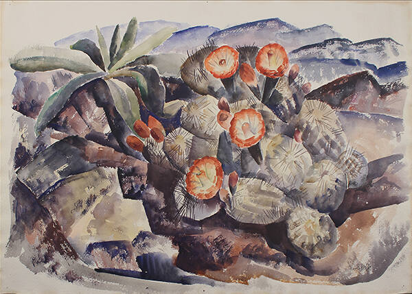 Cactus Plant