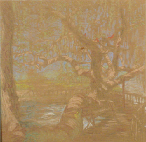 Live Oak - Landa Park (sketch)