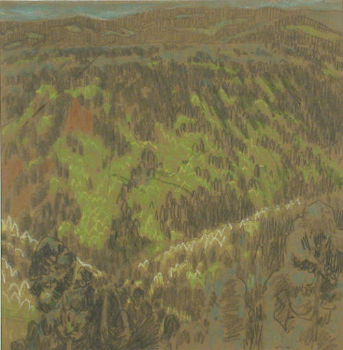 Valle Grande (study)