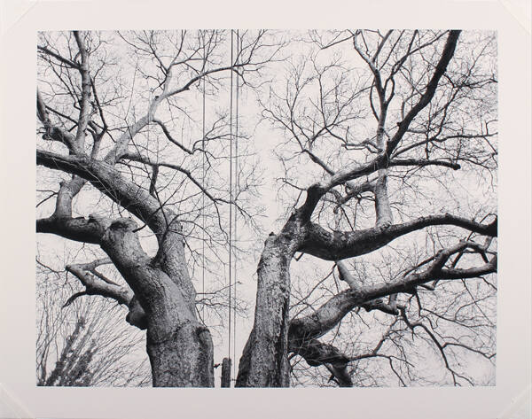 Beth Lilly, Hurt Drive, Atlanta, Georgia (from the series Monster), 2007, pigment print, 17 × 2…