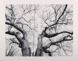 Beth Lilly, Hurt Drive, Atlanta, Georgia (from the series Monster), 2007, pigment print, 17 × 2…