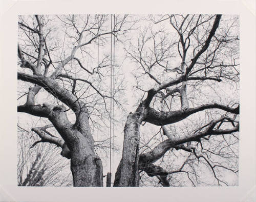 Beth Lilly, Hurt Drive, Atlanta, Georgia (from the series Monster), 2007, pigment print, 17 × 2…