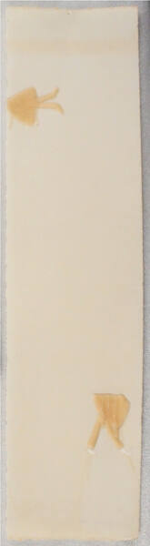 Untitled Wax Drawing