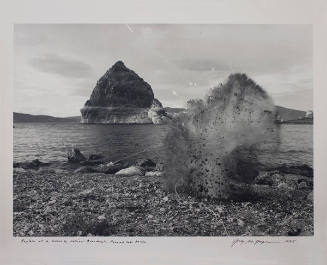 Replica of a Would -be National Monument, Pyramid Lake, Nevada