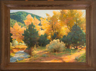 Taos Cañon: Cottonwood, Box Elder, Cedar, and Sage