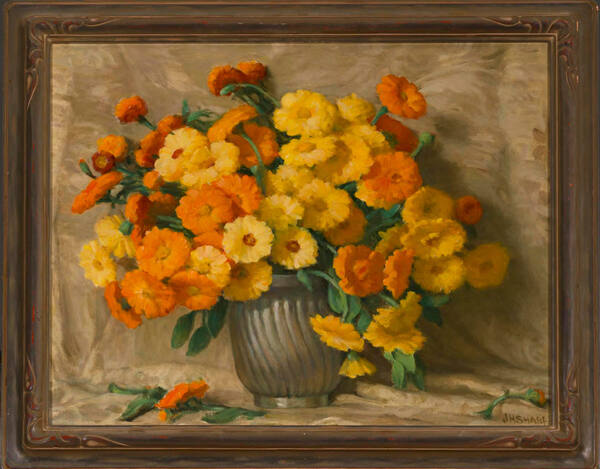 Marigold-Calendula