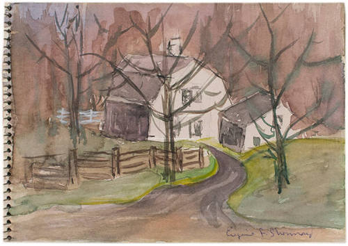 In the Forest, Hot Springs, Virginia