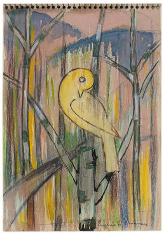 Bird in the Forest, Hot Springs, Virginia