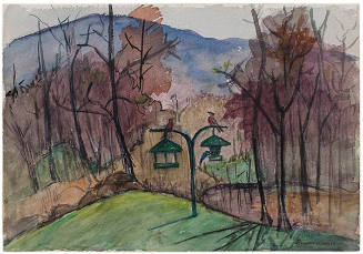 Bird Feeder in the Forest, Hot Springs, Virginia