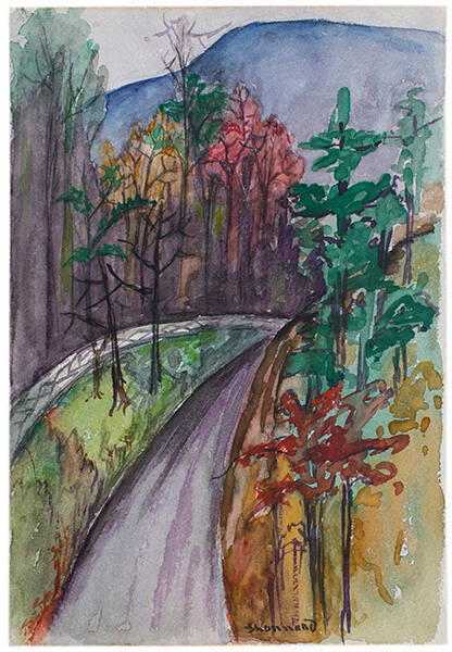 Road Up the Mountains, Hot Springs, Virginia