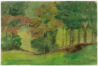 In the Forest, Hot Springs, Virginia