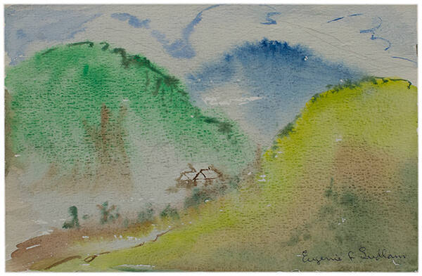 Fog in the Forest, Hot Springs, Virginia