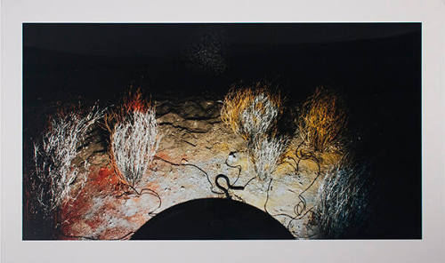 Chromascape - Desert Springs, California 1980/2004 (from the series Chromatherapy)