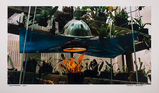 Orchard Gestatio 2004 (from the series Chromatherapy)