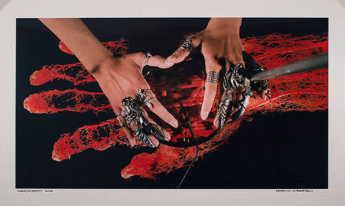 Sliding Filament Theory - Micro Chromatic Healing 2006 (from the series Chromatherapy)