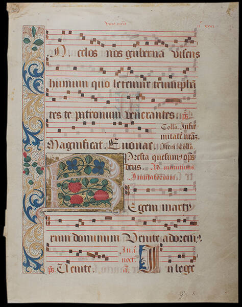 Leaf from Gradual: Initial B With Strawberries And Flowers