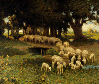 Sheep in France