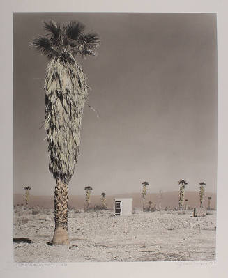 Salton Sea, Small Building