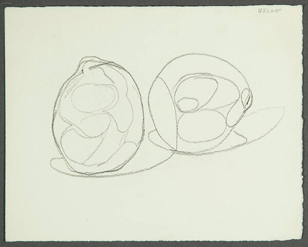Verso