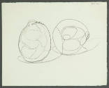 Verso