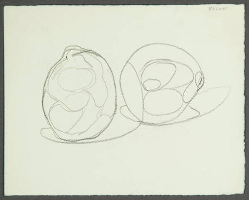 Verso