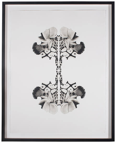 Morphogenic (Radial)