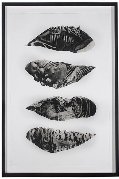 Morphogenic (Seed)