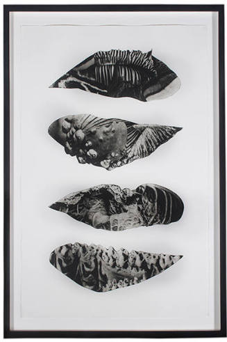 Morphogenic (Seed)