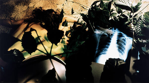 Extensive Aura Balance 1980/2004 (from the series Chromatherapy)
