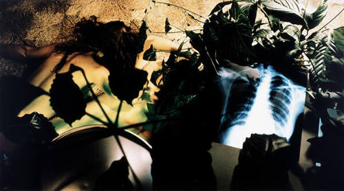 Extensive Aura Balance 1980/2004 (from the series Chromatherapy)
