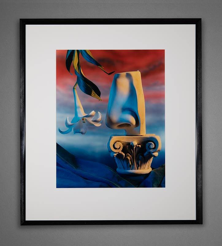 Jo Whaley, Knows No Scents, 1991, chromogenic print, 22 1/4 × 17 1/2 in. Collection of the New …