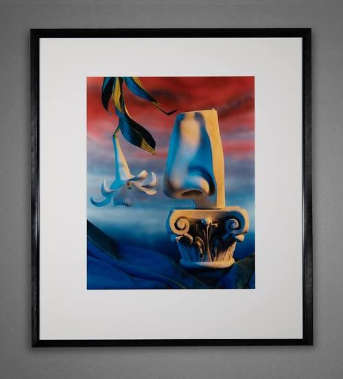 Jo Whaley, Knows No Scents, 1991, chromogenic print, 22 1/4 × 17 1/2 in. Collection of the New …