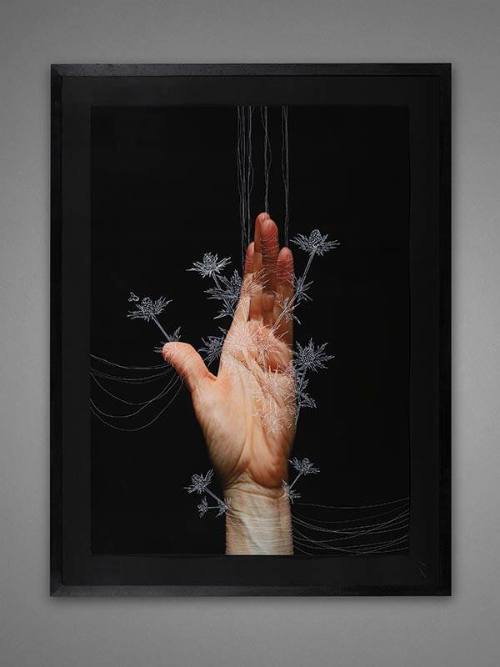 Palm (from the series Inanna)