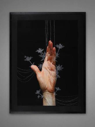 Palm (from the series Inanna)