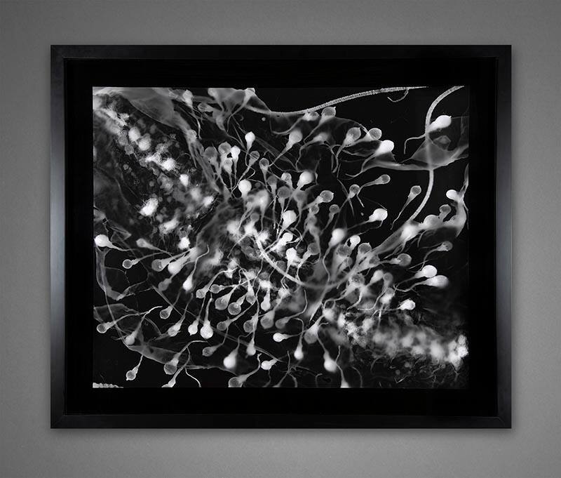 Untitled #10